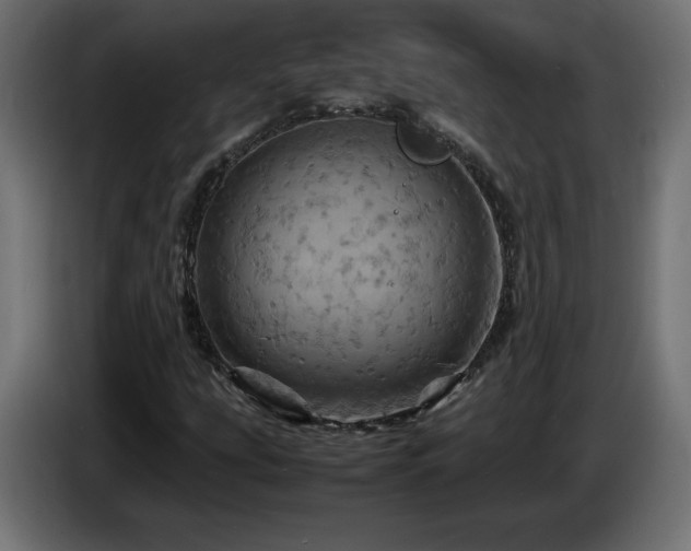 X0000087011207200704161535