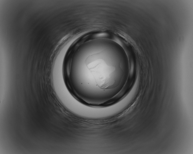 X0000087011210200704161535