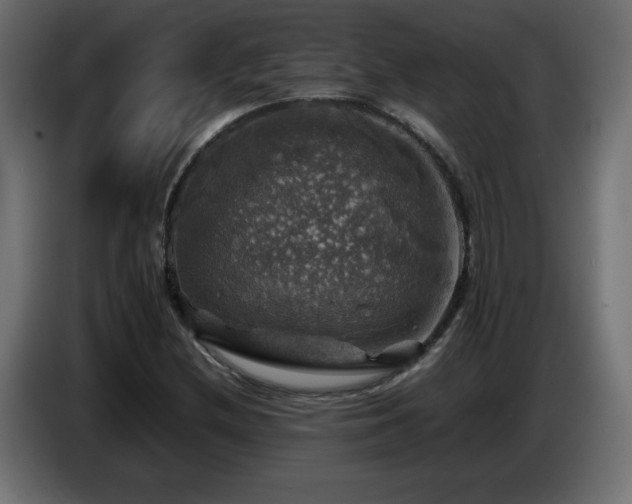 X0000087011212200704161536