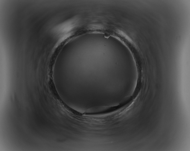 X0000087011213200704161536