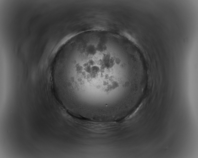 X0000087011215200704161536