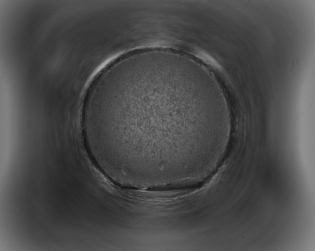 X0000087011216200704161536