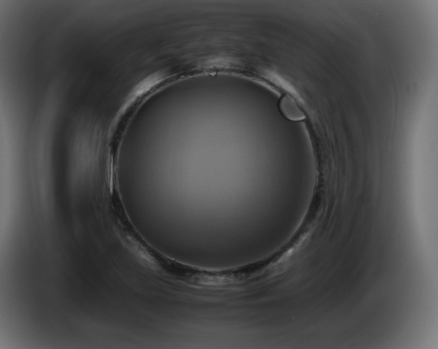 X0000087011219200704161536