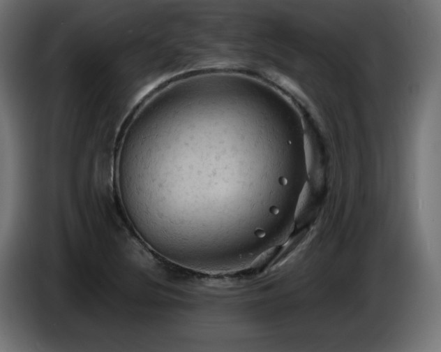 X0000087011220200704161536
