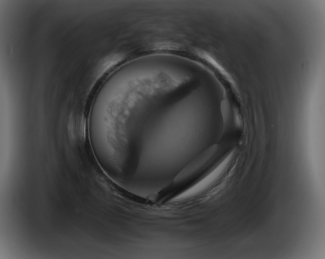X0000087011221200704161536