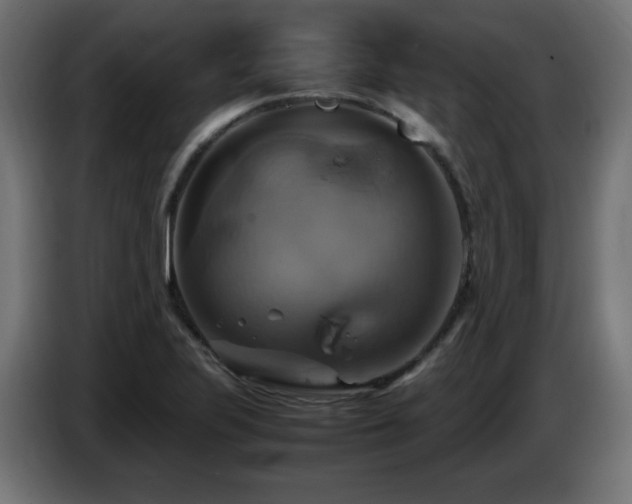 X0000087011223200704161536