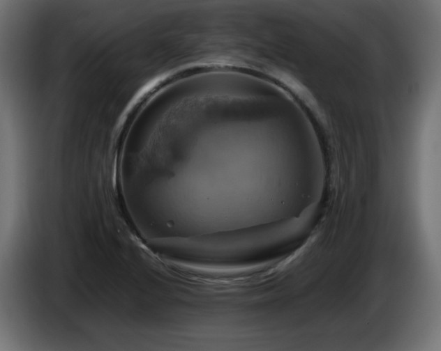 X0000087011224200704161536