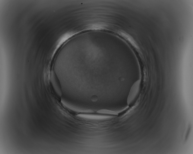 X0000087011226200704161536