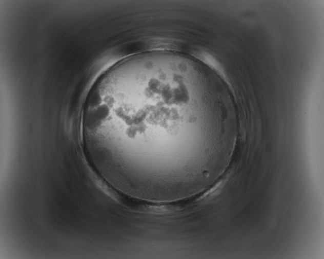 X0000087011227200704161536