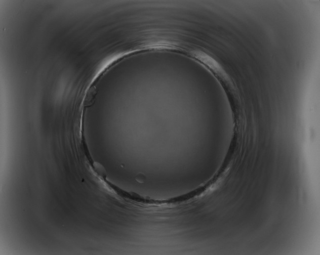 X0000087011228200704161536