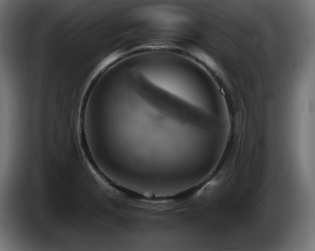 X0000087011229200704161536