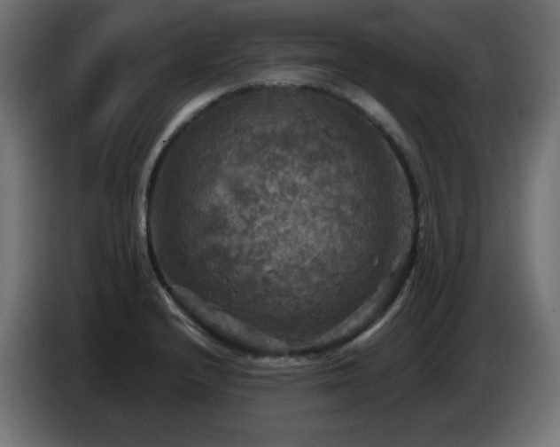 X0000087011232200704161536