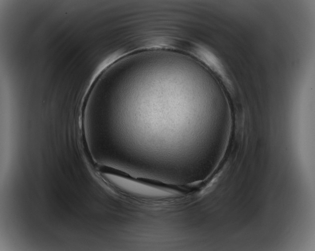 X0000087011234200704161536
