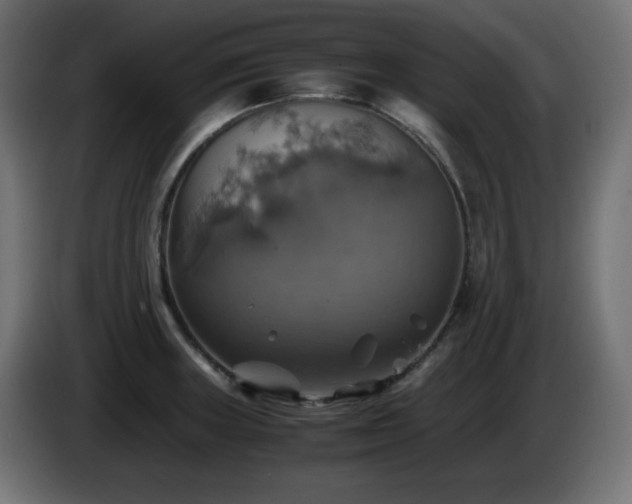 X0000087011235200704161536