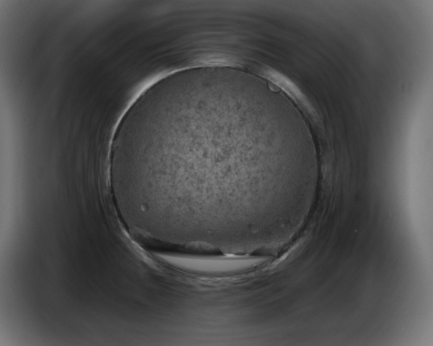 X0000087011236200704161536