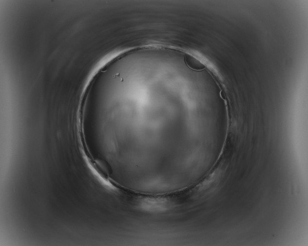 X0000087011239200704161536