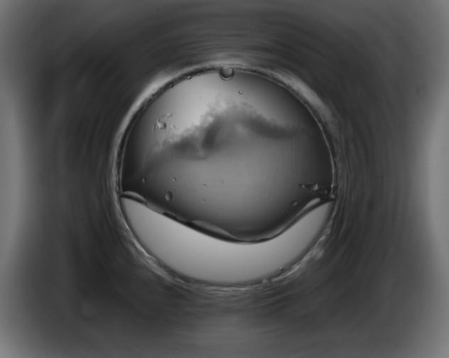X0000087011240200704161536