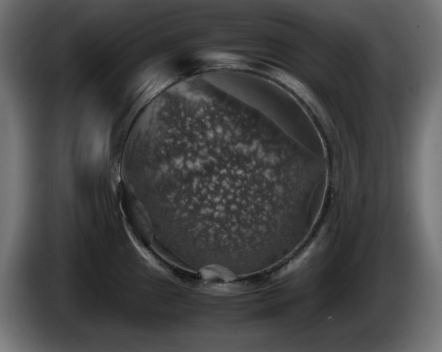 X0000087011241200704161536