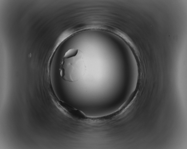 X0000087011242200704161536