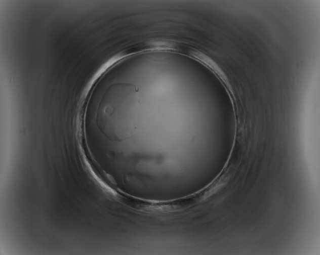 X0000087011243200704161536