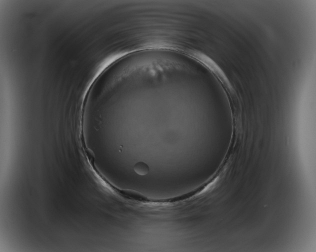 X0000087011244200704161536