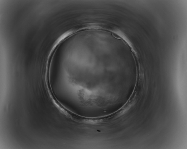 X0000087011245200704161536