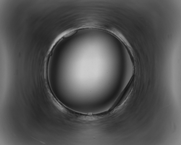 X0000087011246200704161536
