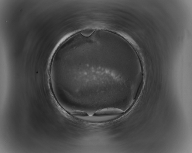 X0000087011248200704161536
