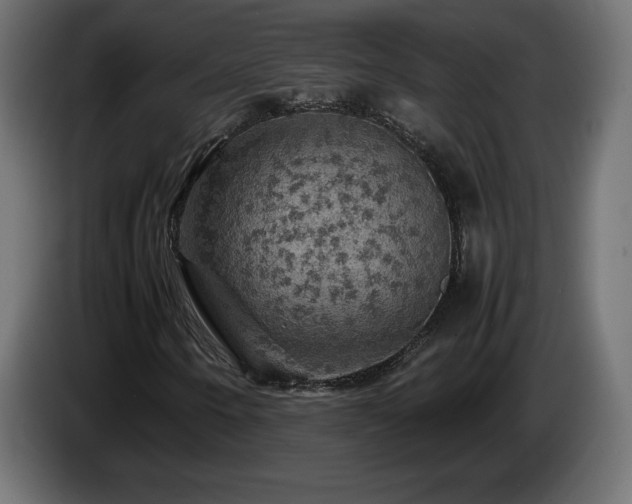 X0000087011250200704161535