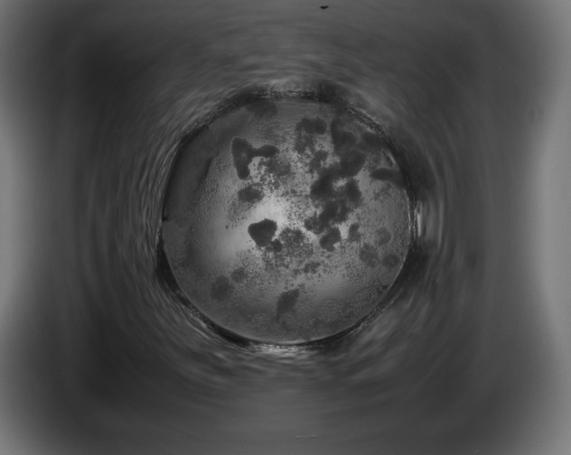X0000087011251200704161535