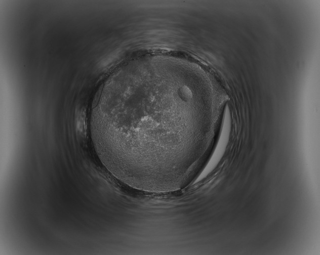 X0000087011252200704161535
