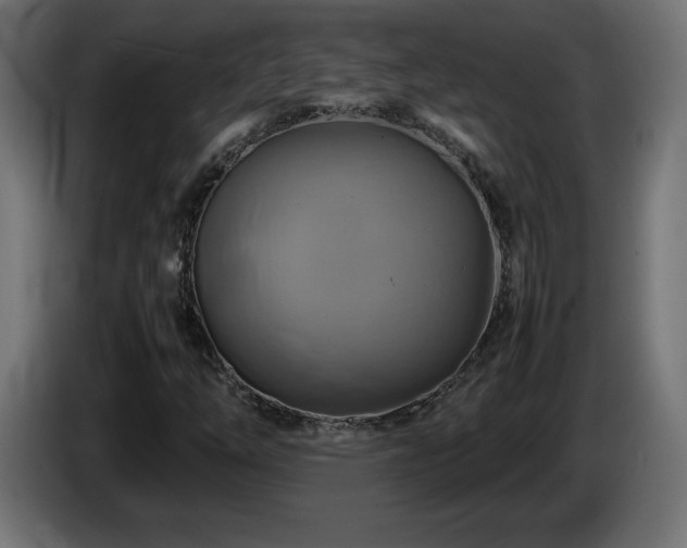 X0000087011254200704161535