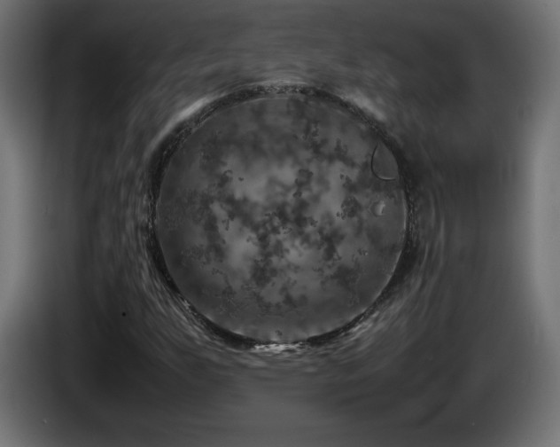 X0000087011255200704161535