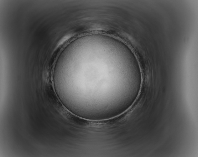 X0000087011258200704161535