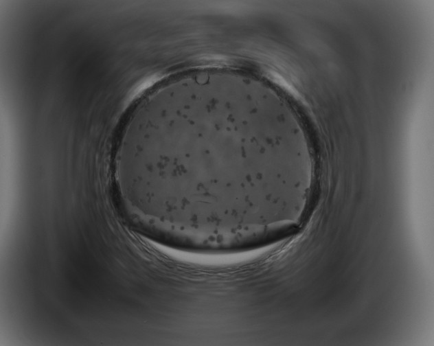 X0000087011259200704161535