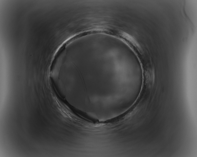 X0000087011260200704161535