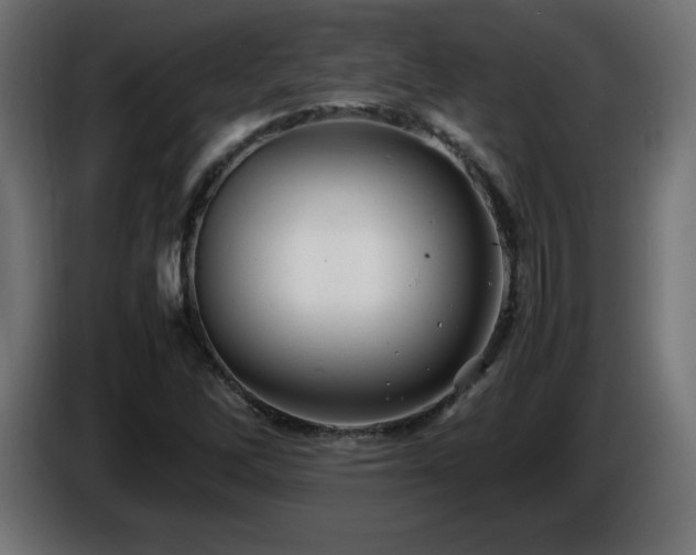 X0000087011262200704161535