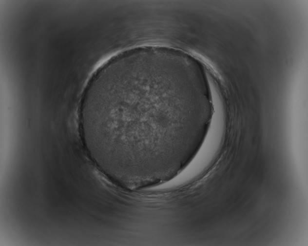 X0000087011264200704161535