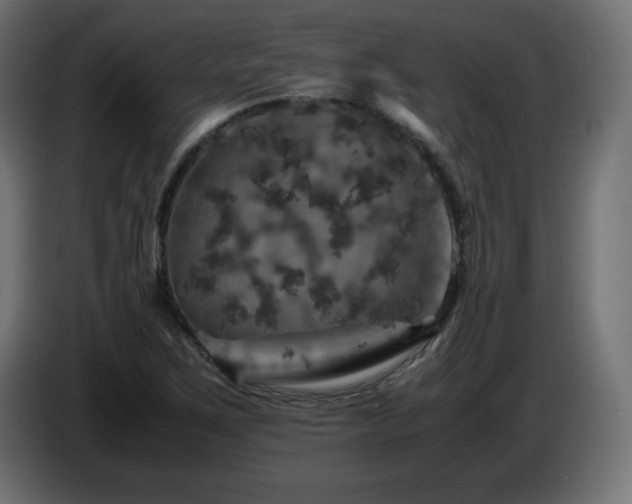 X0000087011267200704161535