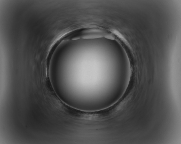 X0000087011269200704161535