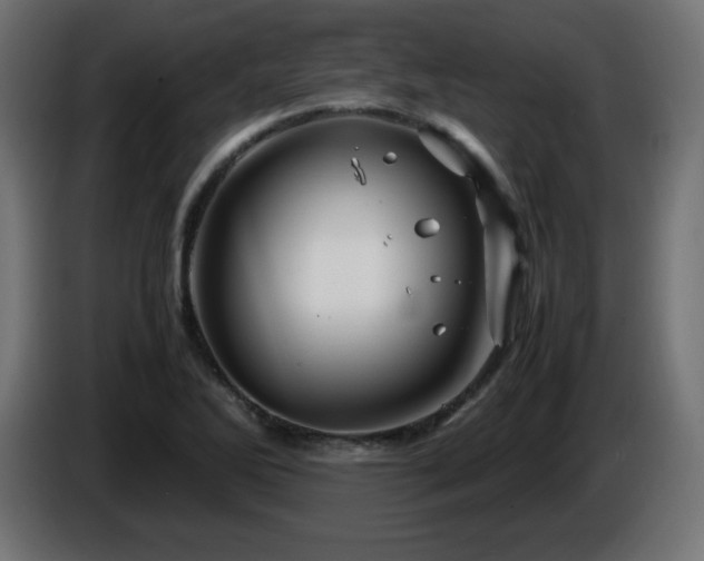 X0000087011270200704161535
