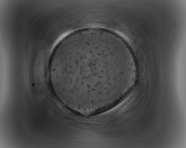 X0000087011271200704161535