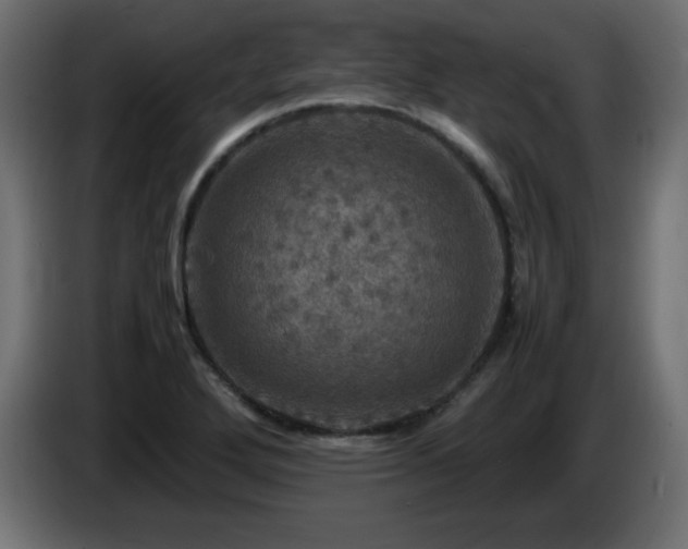 X0000087011272200704161535