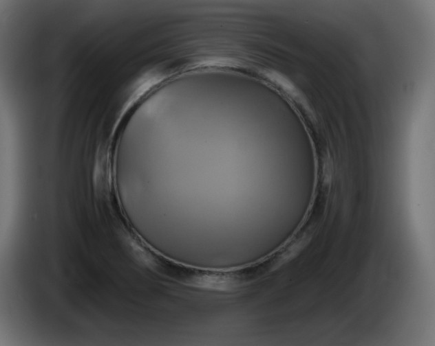 X0000087011274200704161535