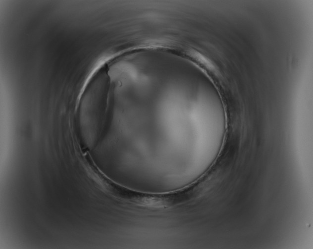 X0000087011275200704161535