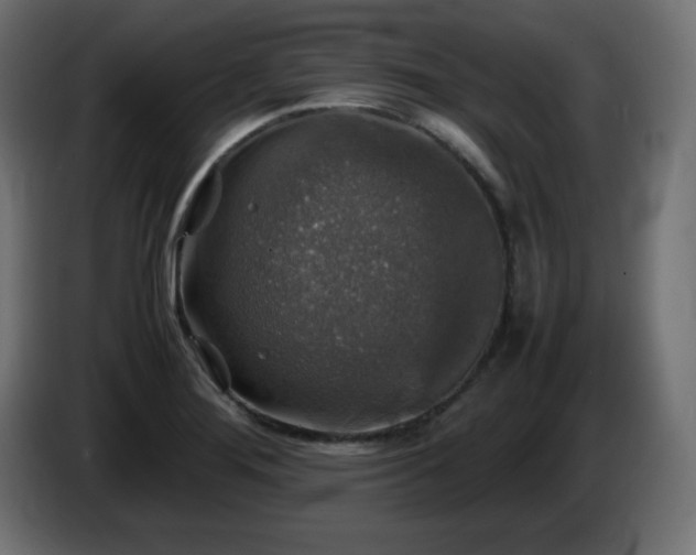 X0000087011276200704161535