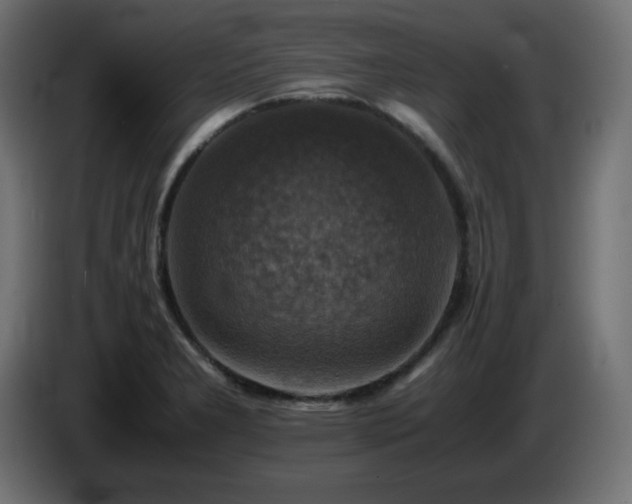X0000087011277200704161535