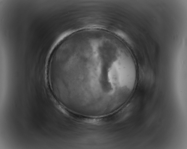 X0000087011278200704161535
