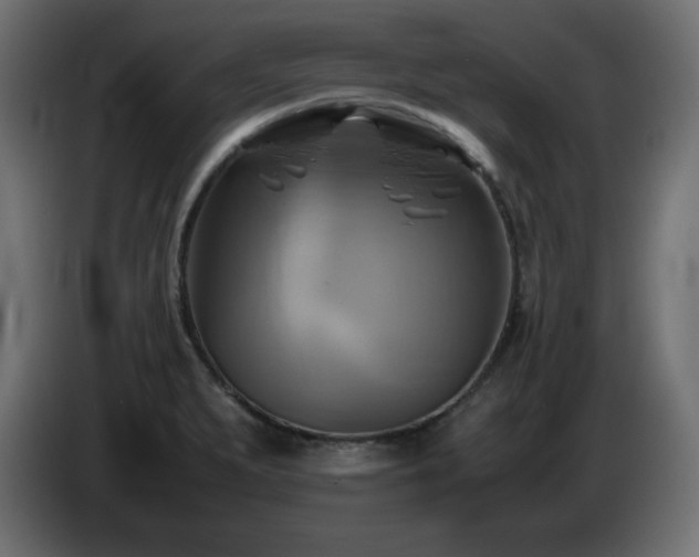 X0000087011279200704161535