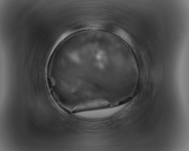 X0000087011283200704161535